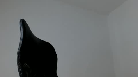 elosocazador online show from February 13, 1:25 pm