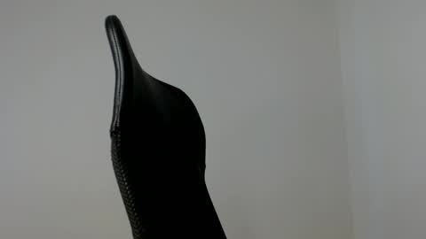 elosocazador online show from November 8, 7:28 pm