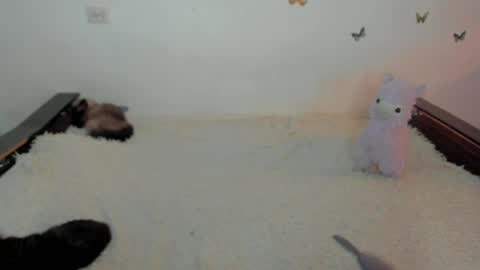 Elsa online show from April 26, 9:23 pm