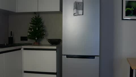 Snapshot of elvafoa chatting on January 28, 8:15 pm Sophie online show from January 28, 8:15 pm
