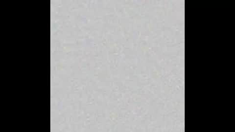 Ely online show from October 8, 11:38 am