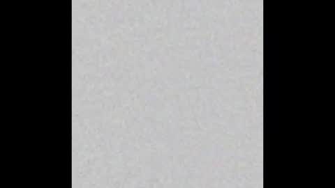 Ely online show from November 7, 11:34 am