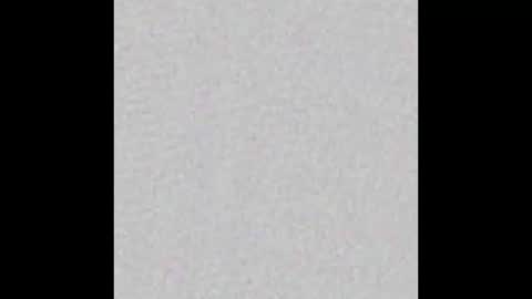 Ely online show from October 17, 11:36 am