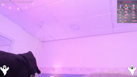 Danna online show from October 10, 2:17 am