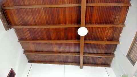 Emily  online show from December 17, 10:55 am