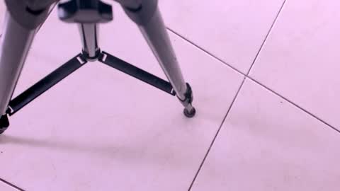 emily_castillo1_ online show from November 18, 3:31 am