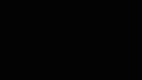 Emilly Willis online show from January 12, 6:17 am