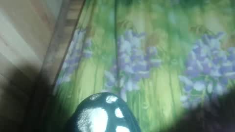 emma cloee online show from December 11, 9:52 am