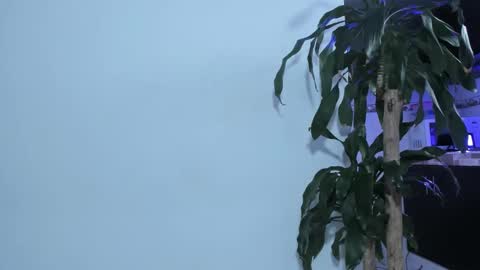 Snapshot of emma_eva1 chatting on February 22, 2:30 pm Emma online show from February 22, 2:30 pm