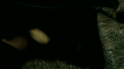 estelarseiya online show from January 4, 3:18 am