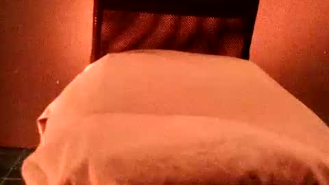 estelarseiya online show from October 26, 7:42 am