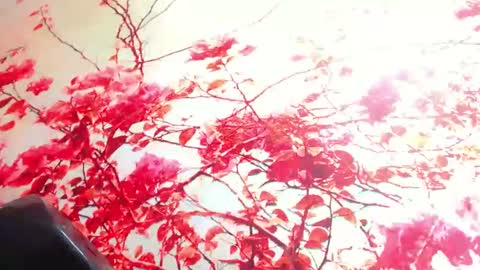 MARIA ALEJANDRA online show from December 28, 3:04 am