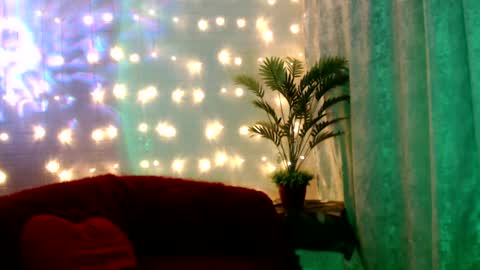 Snapshot of euphoria055 chatting on February 8, 2:16 pm Liana online show from February 8, 2:16 pm