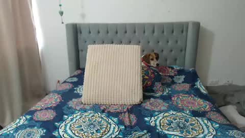 EvangelinehotsexynaturalsexydancesexyeyessexyfeetI love getting your wild side online show from January 9, 9:47 pm