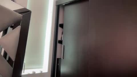 E V E L Y N  online show from October 28, 1:23 pm