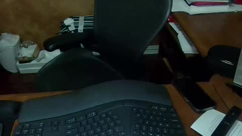 exhibitman69_ldb online show from February 14, 4:59 am