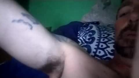 experttreecompany online show from February 15, 7:51 am