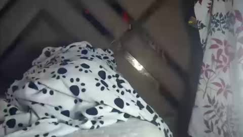 eyshaexotii online show from October 17, 3:43 am