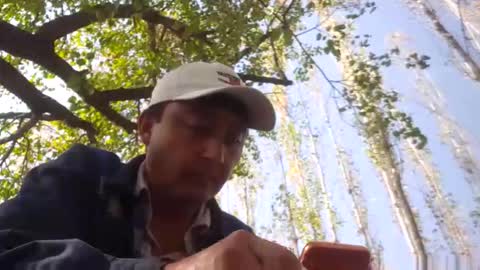 fa836651 online show from October 19, 7:24 am