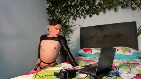  Stiven Baby   online show from January 18, 7:50 am