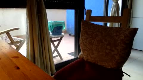 Fabro online show from March 13, 7:44 am