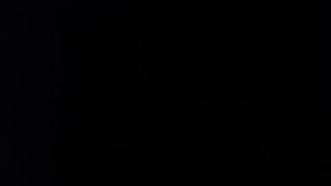 farid_24 online show from February 20, 1:16 am