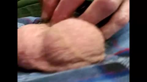 fartinmymouthplz online show from November 18, 3:42 am