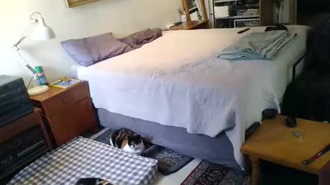 KingT online show from April 19, 10:05 am