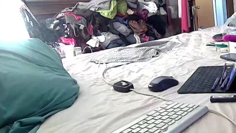 felicitybliss29 online show from October 2, 9:30 am