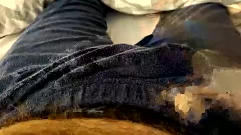 felixske online show from January 10, 9:59 am