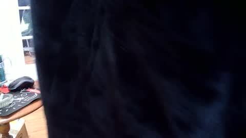 Snapshot of fellatioauto chatting on March 7, 9:59 pm hungnsexy online show from March 7, 9:59 pm