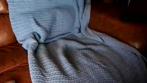 fitstevie1 online show from January 16, 11:27 pm