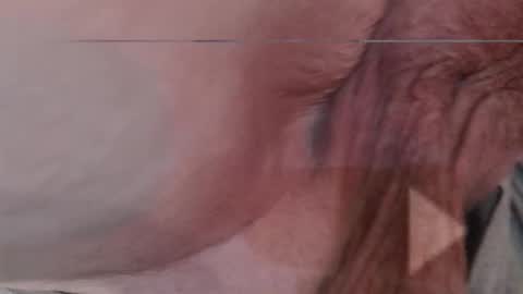 Flextle Bunny online show from January 10, 9:59 am