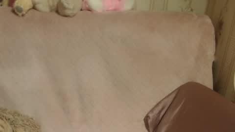 say meow and send tip  online show from April 2, 7:21 pm