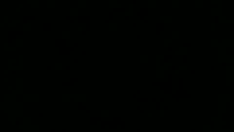 forestguy08 online show from March 9, 11:37 am