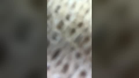 fransicus1988 online show from March 19, 9:48 am