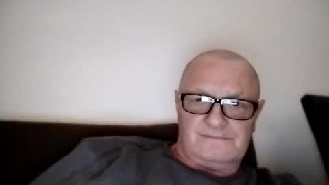 Wolfi online show from January 19, 9:52 am