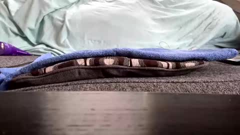 freak808022 online show from November 18, 3:15 pm