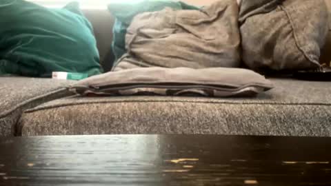 freak808022 online show from January 14, 2:03 pm