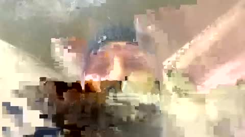 Horny french hard online show from December 17, 12:34 am