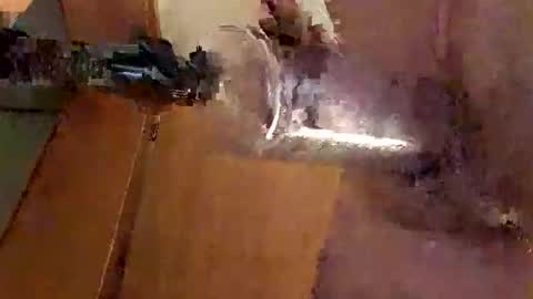 tobi88771 online show from November 21, 1:03 am