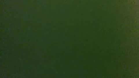 Fabian online show from April 28, 5:23 am