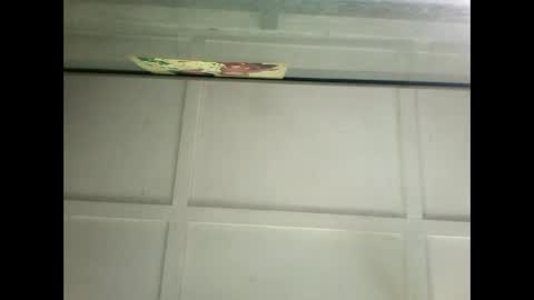 Warwick online show from January 14, 6:24 am