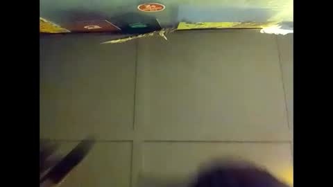 Warwick online show from November 6, 1:58 pm