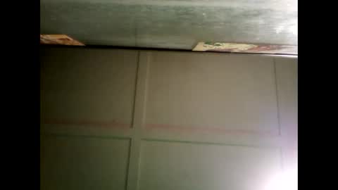 Warwick online show from December 24, 12:00 pm