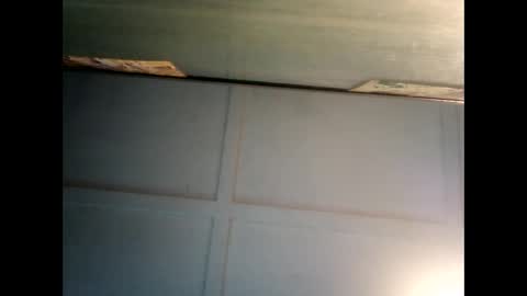 Warwick online show from March 11, 6:19 am