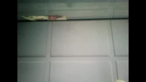 Warwick online show from February 1, 7:15 am