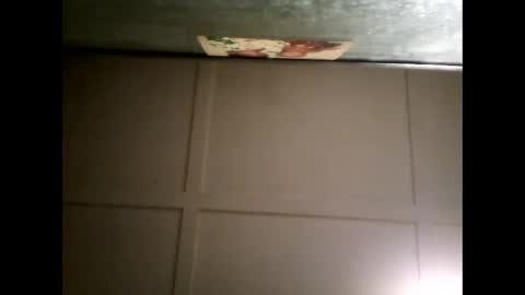 Warwick online show from March 4, 10:35 am