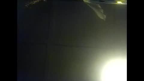 Warwick online show from October 26, 10:05 am