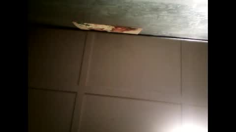 Warwick online show from January 30, 11:01 am